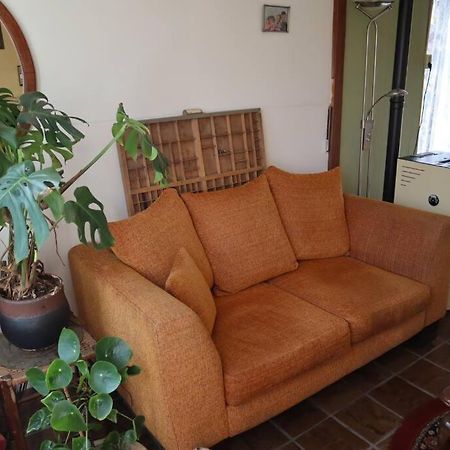 הוילה Basic Natuurhuisje Ommen/Beerze מראה חיצוני תמונה